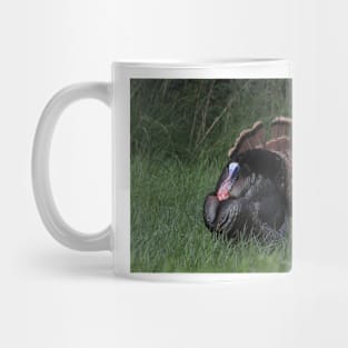 Spring Tom Turkey Strutting in green grass Mug